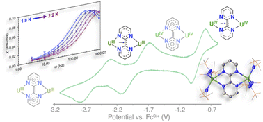 Graphical abstract: Assembling diuranium complexes in different states of charge with a bridging redox-active ligand