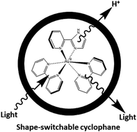 Graphical abstract: Multiple molecular logic gate arrays in one system of (2-(2′-pyridyl)imidazole)Ru(ii) complexes and trimeric cyclophanes in water