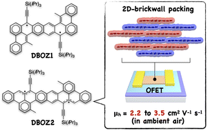 Graphical abstract: Isomeric dibenzooctazethrene diradicals for high-performance air-stable organic field-effect transistors