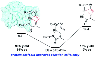 Graphical abstract: Tuning through-space interactions via the secondary coordination sphere of an artificial metalloenzyme leads to enhanced Rh(iii)-catalysis