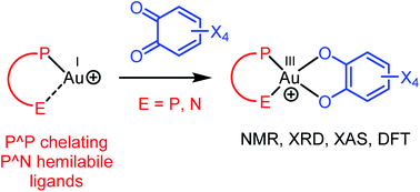 Graphical abstract: Ligand-enabled oxidation of gold(i) complexes with o-quinones