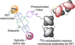 Graphical abstract: A rotaxane-based platform for tailoring the pharmacokinetics of cancer-targeted radiotracers