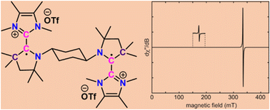 Graphical abstract: A bis-NHC–CAAC dimer derived dicationic diradical