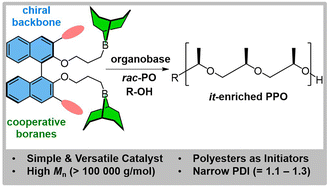 Graphical abstract: Chiral diboranes as catalysts for the stereoselective organopolymerization of epoxides