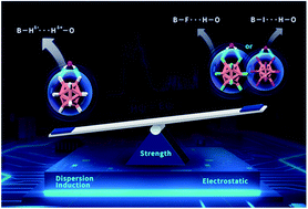 Graphical abstract: Unraveling hydridic-to-protonic dihydrogen bond predominance in monohydrated dodecaborate clusters