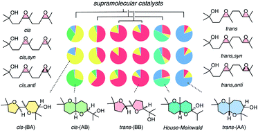 Graphical abstract: Decoded fingerprints of hyperresponsive, expanding product space: polyether cascade cyclizations as tools to elucidate supramolecular catalysis