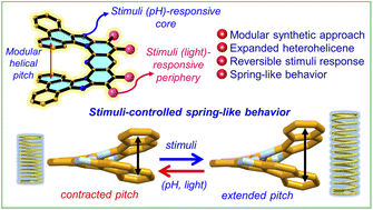 Graphical abstract: Conformationally flexible heterohelicenes as stimuli-controlled soft molecular springs