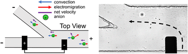 Graphical abstract: Electrokinetic separation techniques for studying nano- and microplastics