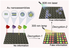 Graphical abstract: Modulating luminescence and assembled shapes of ultrasmall Au nanoparticles towards hierarchical information encryption