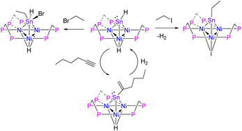 Graphical abstract: Synthesis, structure and reactivity of μ3-SnH capped trinuclear nickel cluster