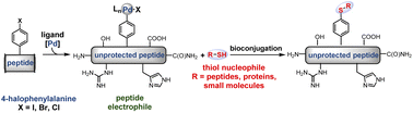 Graphical abstract: Palladium–peptide oxidative addition complexes for bioconjugation