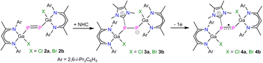 Graphical abstract: Modulating the frontier orbitals of L(X)Ga-substituted diphosphenes [L(X)GaP]2 (X = Cl, Br) and their facile oxidation to radical cations