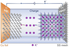 Graphical abstract: Bismuth nanoparticles embedded in a carbon skeleton as an anode for high power density potassium-ion batteries
