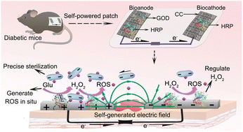 Graphical abstract: A self-powered and drug-free diabetic wound healing patch breaking hyperglycemia and low H2O2 limitations and precisely sterilizing driven by electricity