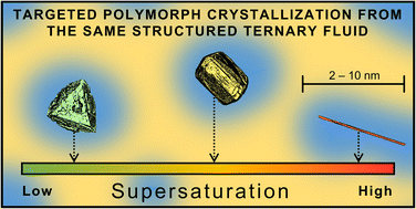 Graphical abstract: Structured ternary fluids as nanocrystal incubators for enhanced crystallization control