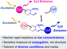 Graphical abstract: Insight into ortho-boronoaldehyde conjugation via a FRET-based reporter assay