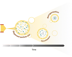 Graphical abstract: Spatial reorganization of analytes in charged aqueous microdroplets