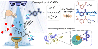 Graphical abstract: Photo-induced defluorination acyl fluoride exchange as a fluorogenic photo-click reaction for photo-affinity labeling