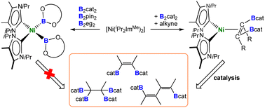 Graphical abstract: Nickel boryl complexes and nickel-catalyzed alkyne borylation
