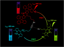 Graphical abstract: Fluorescent organometallic dyads and triads: establishing spatial relationships