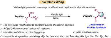 Graphical abstract: Selective editing of a peptide skeleton via C–N bond formation at N-terminal aliphatic side chains