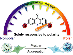 Graphical abstract: Xanthone-based solvatochromic fluorophores for quantifying micropolarity of protein aggregates