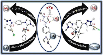Graphical abstract: Towards new coordination modes of 1,2,3-triazolylidene: controlled by the nature of the 1st metalation in a heteroditopic bis-NHC ligand