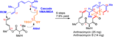 Graphical abstract: Ten-step asymmetric total syntheses of potent antibiotics anthracimycin and anthracimycin B