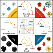 Graphical abstract: Branching phenomena in nanostructure synthesis illuminated by the study of Ni-based nanocomposites