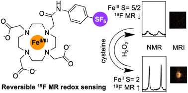 Graphical abstract: An Fe complex for 19F magnetic resonance-based reversible redox sensing and multicolor imaging