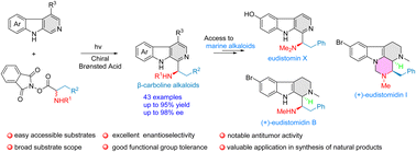 Graphical abstract: Photocatalytic enantioselective Minisci reaction of β-carbolines and application to natural product synthesis