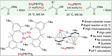 Graphical abstract: Bulky magnesium(ii) and sodium(i) bisphenoxide catalysts for chemoselective transesterification of methyl (meth)acrylates