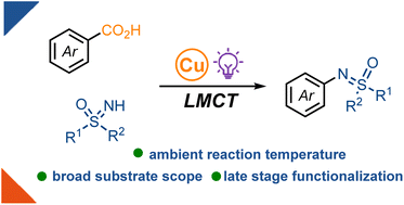 Graphical abstract: Decarboxylative sulfoximination of benzoic acids enabled by photoinduced ligand-to-copper charge transfer