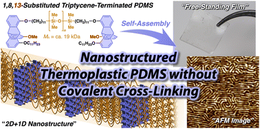 Graphical abstract: Overcoming the entropy of polymer chains by making a plane with terminal groups: a thermoplastic PDMS with a long-range 1D structural order