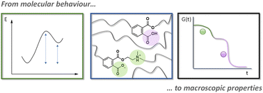 Graphical abstract: Characterising different molecular landscapes in dynamic covalent networks