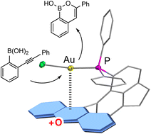 Graphical abstract: Placing gold on a π+-surface: ligand design and impact on reactivity