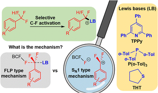 Graphical abstract: Experimental and computational insights into the mechanism of FLP mediated selective C–F bond activation