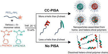 Graphical abstract: Chirality-controlled polymerization-induced self-assembly