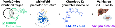 Graphical abstract: AlphaFold accelerates artificial intelligence powered drug discovery: efficient discovery of a novel CDK20 small molecule inhibitor