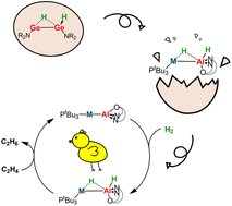 Graphical abstract: Radical-like reactivity for dihydrogen activation by coinage metal–aluminyl complexes: computational evidence inspired by experimental main group chemistry