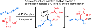 Graphical abstract: A syn outer-sphere oxidative addition: the reaction mechanism in Pd/Senphos-catalyzed carboboration of 1,3-enynes