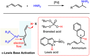 Graphical abstract: A metal π-Lewis base activation model for Pd-catalyzed hydroamination of amines and 1,3-dienes