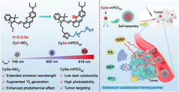 Graphical abstract: Single-atom engineering of hemicyanine and its amphiphilic derivative for optimized near infrared phototheranostics