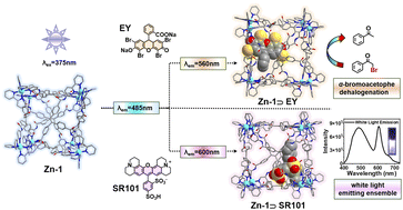 Graphical abstract: Highly efficient Förster resonance energy transfer between an emissive tetraphenylethylene-based metal–organic cage and the encapsulated dye guest