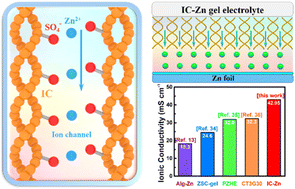 Graphical abstract: A highly conductive gel electrolyte with favorable ion transfer channels for long-lived zinc–iodine batteries