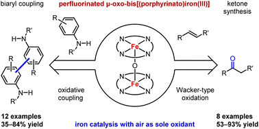 Graphical abstract: μ-Oxo-bis[(octacosafluoro-meso-tetraphenylporphyrinato)iron(iii)] – synthesis, crystal structure, and catalytic activity in oxidation reactions