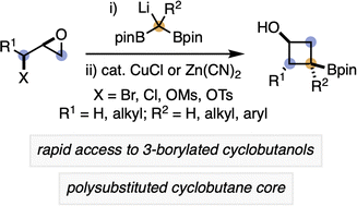 Graphical abstract: Synthesis of 3-borylated cyclobutanols from epihalohydrins or epoxy alcohol derivatives