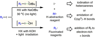 Graphical abstract: Activation of perfluoroalkyl iodides by anions: extending the scope of halogen bond activation to C(sp3)–H amidation, C(sp2)–H iodination, and perfluoroalkylation reactions