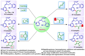 Graphical abstract: Distal meta-C–H functionalization of α-substituted cinnamates