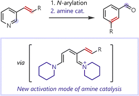 Graphical abstract: Streptocyanine as an activation mode of amine catalysis for the conversion of pyridine rings to benzene rings